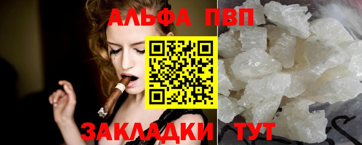 A PVP СК Зеленогорск