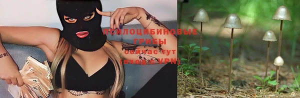 а пвп мука Горно-Алтайск