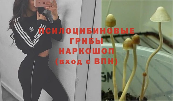 а пвп мука Горно-Алтайск