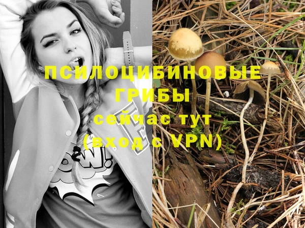 ешки Переславль-Залесский