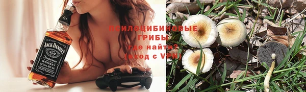 а пвп мука Горно-Алтайск