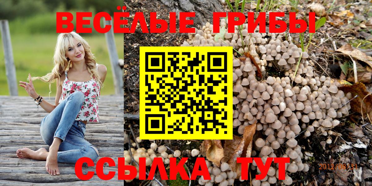 Галлюциногенные грибы мицелий  Вход с VPN  Зеленогорск 