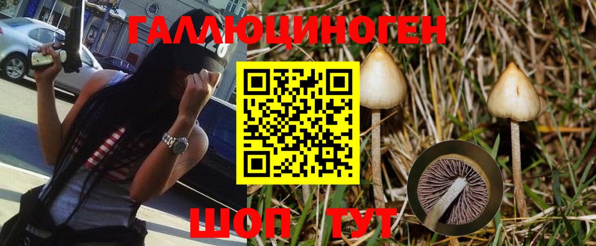 Галлюциногенные грибы GOLDEN TEACHER Зеленогорск